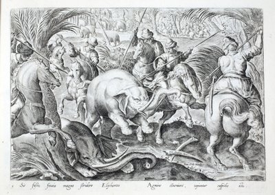 Os elefantes fazem um grande barulho ao serem atingidos por lanças de caçadores, ilustração de "Venationes, Ferarum, Avium, Piscium" (De Caça: Bestas, Aves, Peixes), gravada por Jan Collaert (1566-1628), pub. por Phillipus Gallaeus, Amesterdão (gravura) de Jan van der (1523 1605) Straet