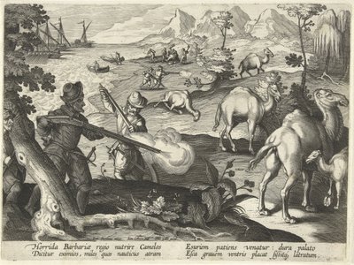 Marinheiros num país horrendo e bárbaro matam camelos com mosquetes para aliviar a fome, ilustração de "Venationes, Ferarum, Avium, Piscium" (De Caça: Bestas, Aves, Peixes), gravada por Jan Collaert (1566-1628), pub. por Phillipus Gallaeus, Amster de Jan van der (1523 1605) Straet