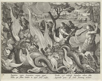Capturando Serpentes na Índia Usando Clubes e Tochas para Acender o Vegetação Subterrânea, placa 44 de Venationes Ferarum, Avium, Piscium (De Caça: Animais Selvagens, Pássaros, Peixes) pub. 1640 de Jan van der 1523 1605 Straet