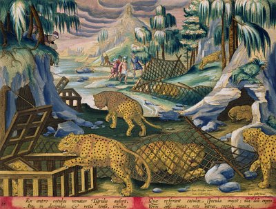 Capturando Leopardos com a ajuda de redes e gaiolas enfeitadas com espelhos, placa 15 de &39;Venationes Ferarum, Avium, Piscium&39; (de caça: feras, pássaros, peixes) gravada por Jan Collaert (1566-1628) p de Jan van der Straet