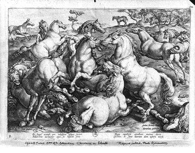 Cavalos selvagens de Jan van der Straet