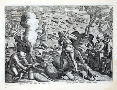 Caçando coelhos, ilustração de &39;Venationes, Ferarum, Avium, Piscium&39; (da caça: Bestas selvagens, pássaros, peixes), gravada por Jan Collaert (1566-1628), bar. por Phillipus Gallaeus, Amsterdã de Jan van der Straet