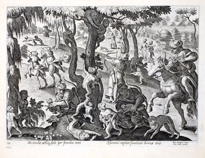 Caçando macacos no campo, ilustração de &39;Venationes, Ferarum, Avium, Piscium&39; (da caça: Bestas selvagens, pássaros, peixes), gravados por Jan Collaert (1566-1628), bar. por Phillipus Gallaeus, Am de Jan van der Straet