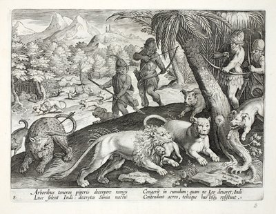 Índios atiram leões com flechas, que capturaram macacos na boca, ilustração de &39;Venationes, Ferarum, Avium, Piscium&39; (De Caça: Animais Selvagens, Pássaros, Peixes), gravada por Jan Collaert (15 de Jan van der Straet