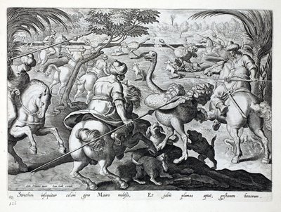 Mouros à caça de cavalos Avestruzes, placa 62, ilustração de &39;Venationes, Ferarum, Avium, Piscium&39; (da caça: Bestas selvagens, pássaros, peixes), gravada por Jan Collaert (1566-1628), bar. por Phillipus de Jan van der Straet
