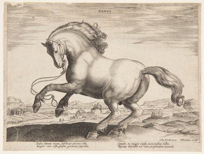 Um cavalo dinamarquês, do quarto conjunto de "Equile Joannis Austriaci" de Jan van der Straet, called Stradanus