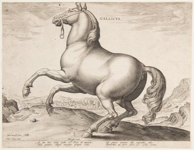 Um cavalo francês, do primeiro conjunto de "Equile Joannis Austriaci" de Jan van der Straet, called Stradanus