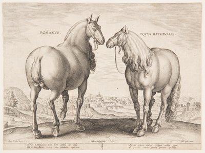 Um Cavalo Romano, do primeiro conjunto de "Equile Joannis Austriaci" de Jan van der Straet, called Stradanus