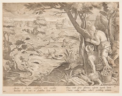 Crane Hunt usando Cones, placa 28 na série Hunts of Game, Birds, and Fish de Jan van der Straet, called Stradanus