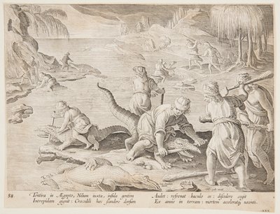 Caça ao Crocodilo em Tentyra, no Egito, placa 30 da série Hunts of Wild Animals, Birds, and Fish de Jan van der Straet, called Stradanus