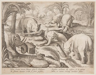 Elefantes segurando uns aos outros fora de uma armadilha, placa 1 da série Hunting of Wild Animals, Birds, and Fish de Jan van der Straet, called Stradanus