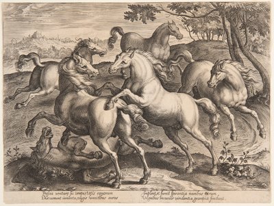 Fighting Horses, do quarto set de "Equile Joannis Austriaci" de Jan van der Straet, called Stradanus