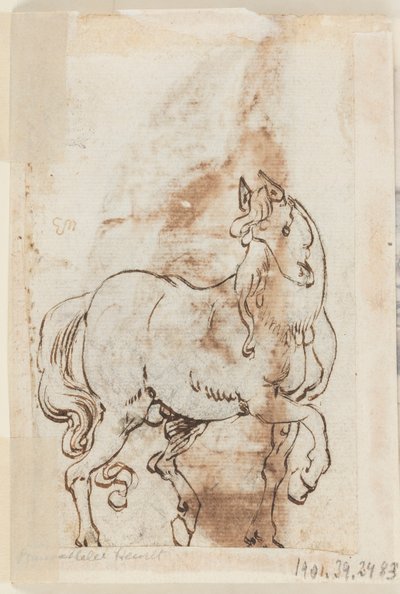 Página de um livro de desenho; Estudo para pintura de Santa Madalena; Um garanhão de Jan van der Straet, called Stradanus