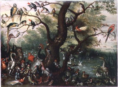 Concerto de Pássaros (óleo sobre cobre) de Jan van the Elder Kessel