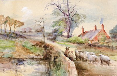 Uma estrada de campo (aguarela) de Jane Elizabeth Spindler