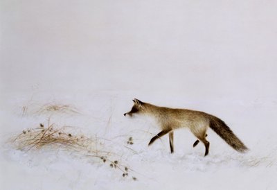 Raposa na neve de Jane Neville