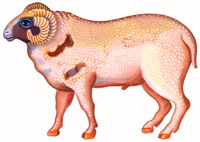 Aries the Ram, 1996, (tinta e guache) de Jane Tattersfield