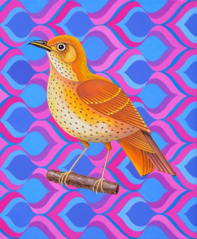 Tordo-canoro, 2023 (óleo sobre tela) de Jane Tattersfield