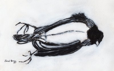 Dead Bird by my Stairwell, c.2018 (carvão e gesso sobre papel) de Janel Bragg