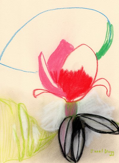 Magnólia a cores, c.2021 (pastel sobre papel) de Janel Bragg
