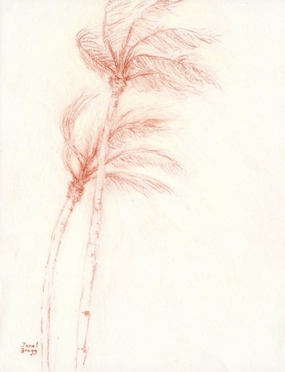Once Upon a Tropical Vacation Palm Trees, c.2019 (lápis sobre papel) de Janel Bragg