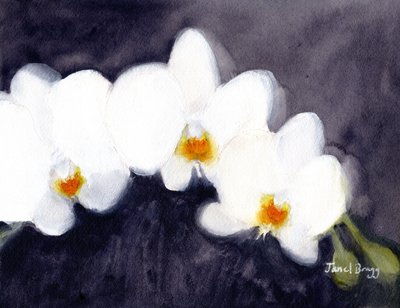 Orquídea Phalaenopsis branca, c.2021 (aguarela e caseína sobre papel) de Janel Bragg