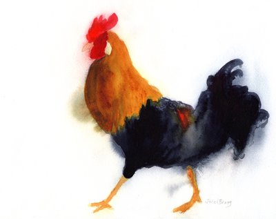 Galo em Kauai no Parque Lydgate, c. 2019 (aguarela sobre papel) de Janel Bragg