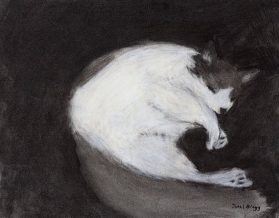 Thomas Taking a Nap, c. 2018 (carvão e pastel sobre papel) de Janel Bragg