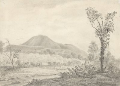 Paisagem javanesa com montanha e palmeiras de Jannes Theodorus Bik