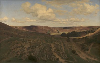 Paisagem em Nejsum em Vendsyssel de Janus La Cour