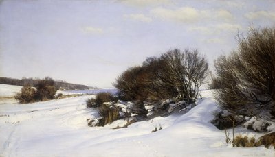 Inverno perto do mar, 1888 de Janus La Cour