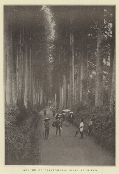 Avenida dos pinheiros Cryptomeria em Nikko de Japanese Photographer