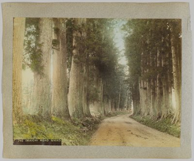 Imaichi Road, Nikko, Japão (foto colorida à mão em preto e branco) de Japanese Photographer