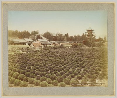 Pagoda de Toji e Tea Garden, Kyoto, Japão (foto a p/b colorida à mão) de Japanese Photographer