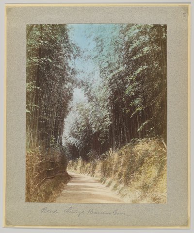 Estrada através de um bambu, Japão (foto colorida à mão a preto e branco) de Japanese Photographer