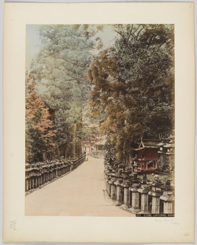 Stone Lanternas, Nara, Japão, c.1890 (foto a p/b colorida à mão) de Japanese Photographer