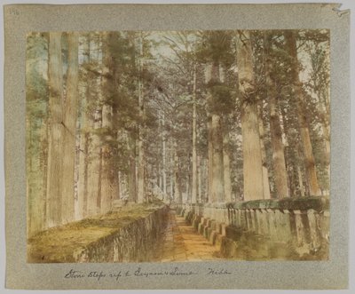 Pedra sobe ao túmulo de Ieyasu, Nikko, Japão (foto a p/b colorida à mão) de Japanese Photographer