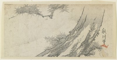 (Maple Tree e Mt. Fuji), de 1860 a 70 de Japanese School