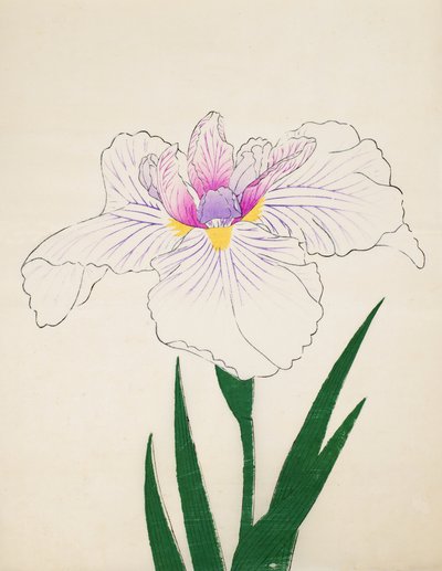 Akashi-no.-Ul, nº 10, 1898 de Japanese School