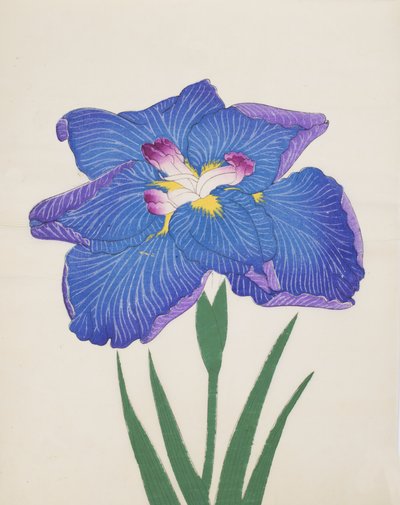 Azumabotan, nº 89, 1890 (impressão em xilogravura a cores) de Japanese School