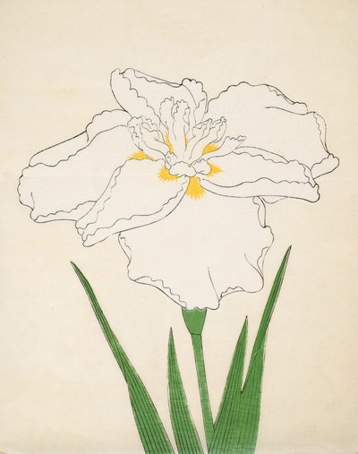 Bandai-No-Nami, No 1 de Japanese School