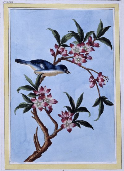 Bird - Impressão japonesa de Japanese School