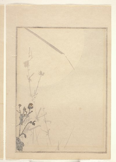 Crisântemos (impressão em bloco de madeira a cores) (ver também 374402) de Japanese School