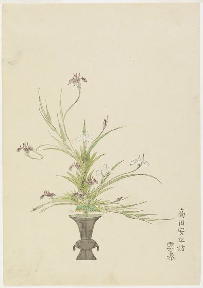 Arranjo de flores por Takada Anritsub Untai, Irises (impressão de xilogravura colorida à mão) de Japanese School