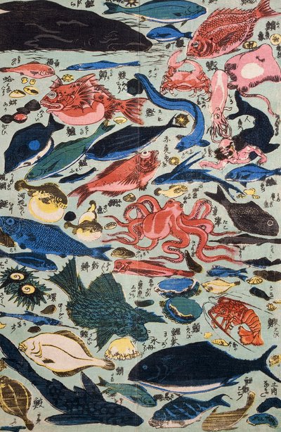 Peixes, moluscos e crustáceos frescos de Japanese School