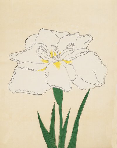 Haku-O-Den, nº 40, 1890 (impressão em xilogravura a cores) de Japanese School