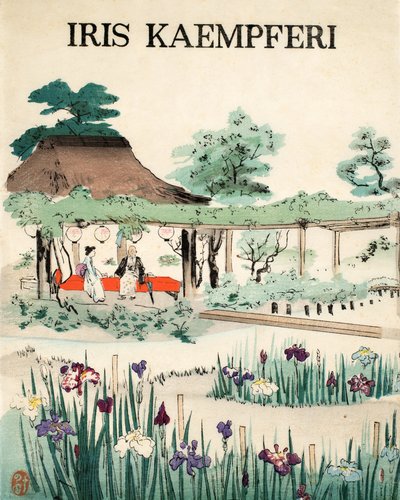 Iris Kaempferi - Capa, 1890 de Japanese School
