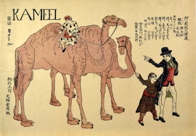 Camelo, pub. 1821 (xilogravura colorida) de Japanese School
