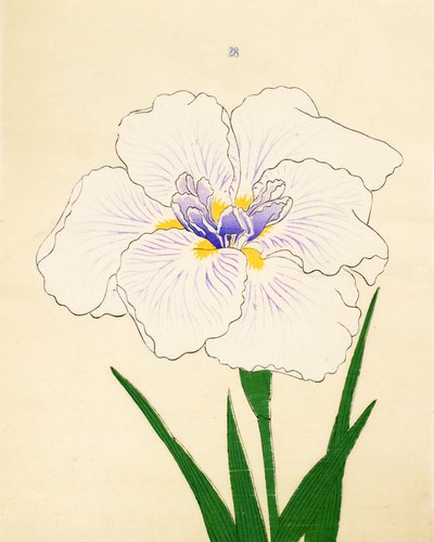 Manu-Zuru, nº 28, 1890 de Japanese School