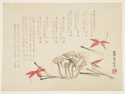 Cogumelos, folhas de plátano e agulhas de pinheiro (impressão em xilogravura a cores) de Japanese School